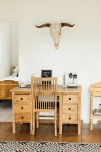 a desk with an owl head on the wall at Kanaal kooi in Upington