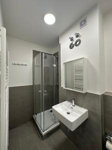 ein Bad mit einem Waschbecken und einer Dusche in der Unterkunft Ar Living Frankfurt Königsteinerstr in Frankfurt am Main