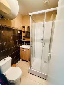 马恩河畔莱佩尔勒Studio Le Cocon détente proche Paris Disney的浴室配有马桶和玻璃淋浴房