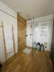 a bathroom with a shower with a glass door at Apartament U Bartusia in Zakopane