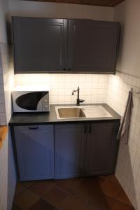 a kitchen with a sink and a microwave at Zu Gast bei den Zaungästen in Radeburg +17 photos