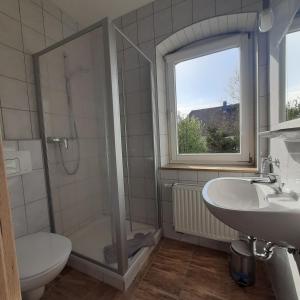 uma casa de banho com um chuveiro, um lavatório e um WC. em Regenbogenhof Rudelswalde em Crimmitschau