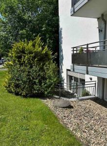 多特蒙德的住宿－Westfalenpark Apartment with terrace and free parking，房屋旁建筑物一侧的灌木丛