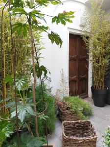 a garden with plants and a wooden door at Monferrato Apartments - Ca Marì e Casa Elena in pieno centro storico in Moncalvo