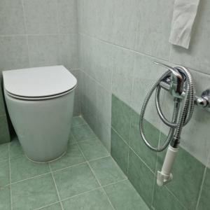 a bathroom with a toilet and a shower at Casa Fortunata con parcheggio in Livorno