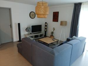 ein Wohnzimmer mit einem blauen Sofa und einem TV in der Unterkunft Appartement Confort Miribel 80m2 in Miribel