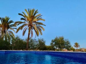 a swimming pool with palm trees in the background at Villa Chaâbane in Djerba