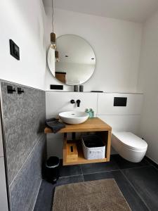 a bathroom with a sink and a toilet and a mirror at Ferienwohnungen Heimatliebe in Ernst