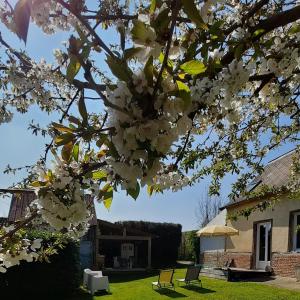 a magnolia tree in front of a house at Chambre d'hote Frettecuisse in Frettecuisse