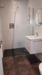 ein weißes Bad mit einem Waschbecken und einer Dusche in der Unterkunft Chambre d'hote Frettecuisse in Frettecuisse