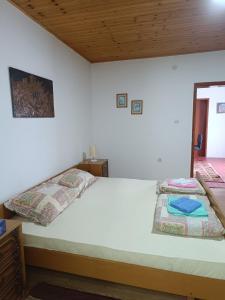 a bedroom with a large bed with white walls at Vila Jovana A in Rogljevo