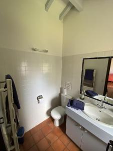 een badkamer met een toilet, een wastafel en een spiegel bij Calicho in Urrugne