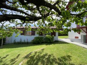 ein weißes Haus mit einem Baum im Garten in der Unterkunft Calicho in Urrugne