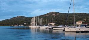 eine Reihe von Booten liegen in einem Hafen vor Anker in der Unterkunft Adriaticoast Holiday Apartments- Blue Horizon in Drage