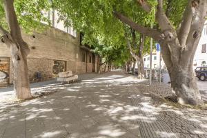 ulica obsadzona drzewami, przy budynku znajduje się ławka w obiekcie Lovely Piazza Santa Maria Apartment w mieście Sassari