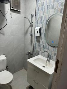 La salle de bains est pourvue de toilettes, d'un lavabo et d'un miroir. dans l'établissement Downtown Inn, au Caire