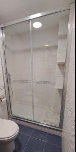 La salle de bains est pourvue d'une douche en verre et de toilettes. dans l'établissement Playa del prado, à Ribeira