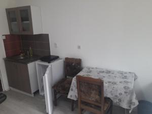 a kitchen with a table and two chairs and a sink at Apartmani Zivkovic Ribarska banja in Ribarska Banja