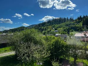 uma vista aérea de uma aldeia nas montanhas em Guest House em Slavske