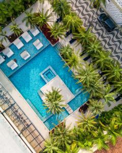 an overhead view of a swimming pool with palm trees at Pousada Apple House Paraty in Paraty
