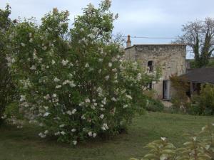 a large bush of flowers in front of a building at L'instant détente in Saint-Léger-de-Montbrillais