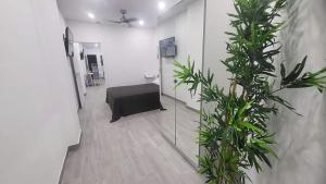 Cette chambre comprend un miroir et des plantes. dans l'établissement PAKITO TENERIFE Mareverde, à Adeje