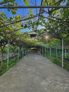 Fotografie z fotogalerie ubytování Hotel Okatsia სასტუმრო ოკაცია v destinaci Gordi