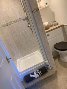 a shower with a black toilet in a bathroom at Hideaway Cottage Bewdley with parking near the River Severn in Bewdley