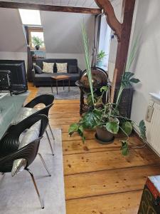- un salon avec un canapé et des plantes dans l'établissement Petit Paradis Croneuva, à Strasbourg