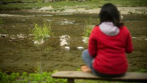 Dirang DzongTsejor Homestay的相册照片 更多14张照片