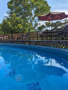 a blue swimming pool with an umbrella and chairs at Rainforest Lodge del Rio in Portobelo