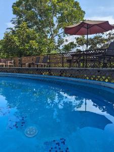 Bazén v ubytování Rainforest Lodge del Rio nebo v jeho okolí