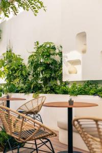 Nativo Hotel Ibiza في سانتا إيولاليا ديل ريو: طاولة وكراسي في غرفة بها نباتات