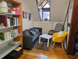 - un salon avec un canapé et une étagère à livres dans l'établissement Petit Paradis Croneuva, à Strasbourg