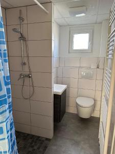 a bathroom with a toilet and a sink and a shower at Ferienbungalow Lais - Seite 1 in Loissin