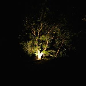 Fotografija v galeriji nastanitve Casa-Miri . Com v mestu Piribebuy