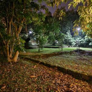 Vrt pred nastanitvijo Casa-Miri . Com