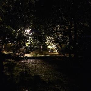 Pokrajina v okolici apartmaja