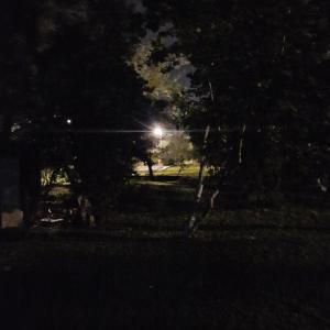Vrt pred nastanitvijo Casa-Miri . Com