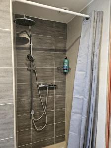 La salle de bains est pourvue d'une douche avec rideau de douche. dans l'établissement Petit Paradis Croneuva, à Strasbourg
