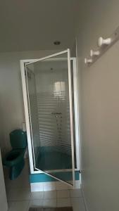 a glass shower in a bathroom with a toilet at Studio Cosy Av De Charles De Gaulle 'Neuilly' in Neuilly-sur-Seine