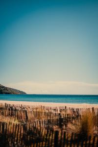 a beach with the ocean in the background at Toison D'or in Saint-Tropez