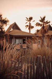 a wooden house with palm trees in front of it at Toison D'or in Saint-Tropez