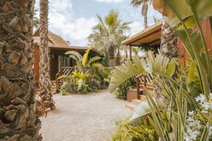 une cour d'une maison avec des palmiers et des plantes dans l'établissement Toison D'or, à Saint-Tropez