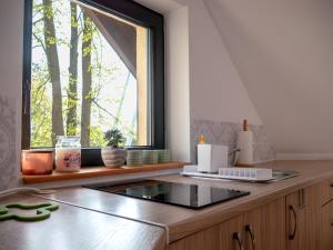 a kitchen with a counter top with a window at Villa Bella Italia III in Mikołajki