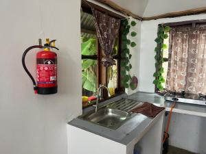 uma cozinha com um lavatório e um extintor de incêndio em Cottage in Arusha-Wanderful Escape em Arusha