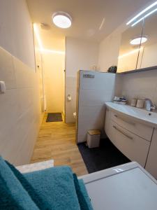 ein kleines Bad mit einem Waschbecken und einem WC in der Unterkunft Apartment Neuwirthof - rustikaler Charme in Sankt Georgen ob Murau