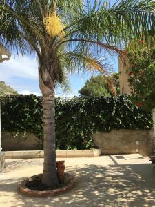 Zahrada ubytování B&B Scala dei Turchi Beach
