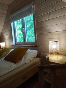 Schlafzimmer mit einem Bett, einem Fenster und einer Lampe in der Unterkunft Domek nad Czarną Hańczą - Przystań Kajakowa Zakole in Krasnopol