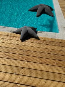 two dolphin statues sitting on the edge of a pool at Sievershof Hofblick in Wietzendorf +16 photos